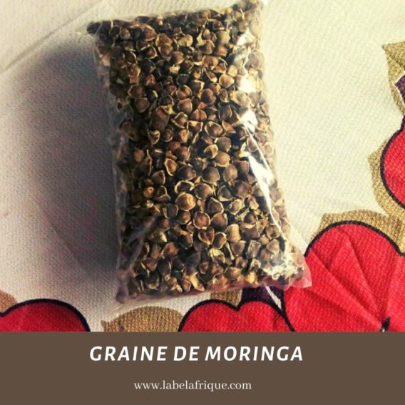 Graine de Moringa gros et details benin, paris, niamey